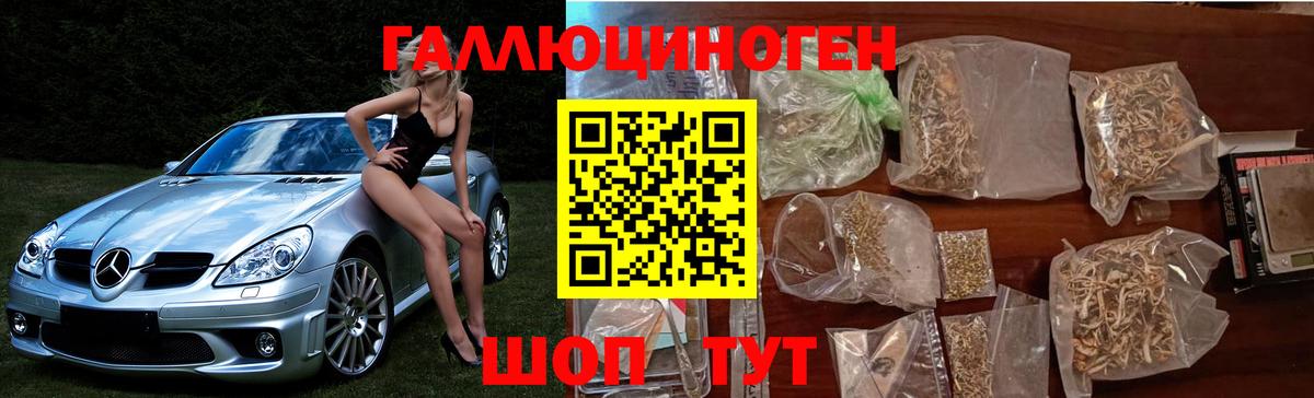 Каменка  Псилоцибиновые грибы GOLDEN TEACHER  Галлюциногенные грибы MAGIC MUSHROOMS  Вход с VPN 